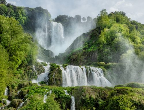 A due passi dalle Cascate delle Marmore, c’è un luogo dove vivere l’anima olivicola della Valnerina
